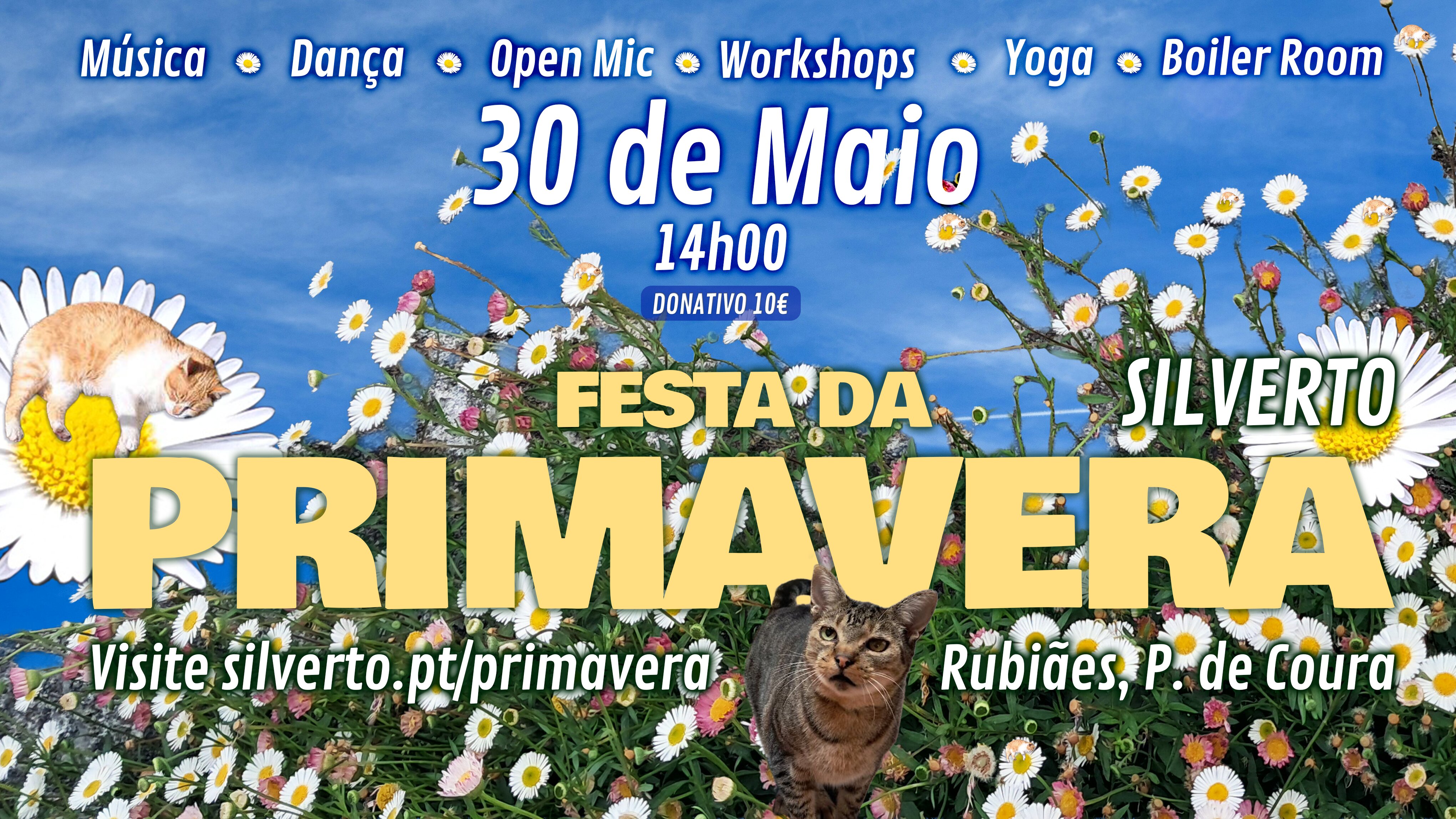 Silverto Spring Party 2026